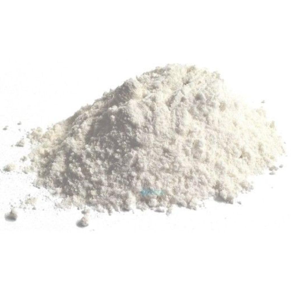 Diatomaceous Earth Swimming Pool Filter Powder 25 lbs A16913