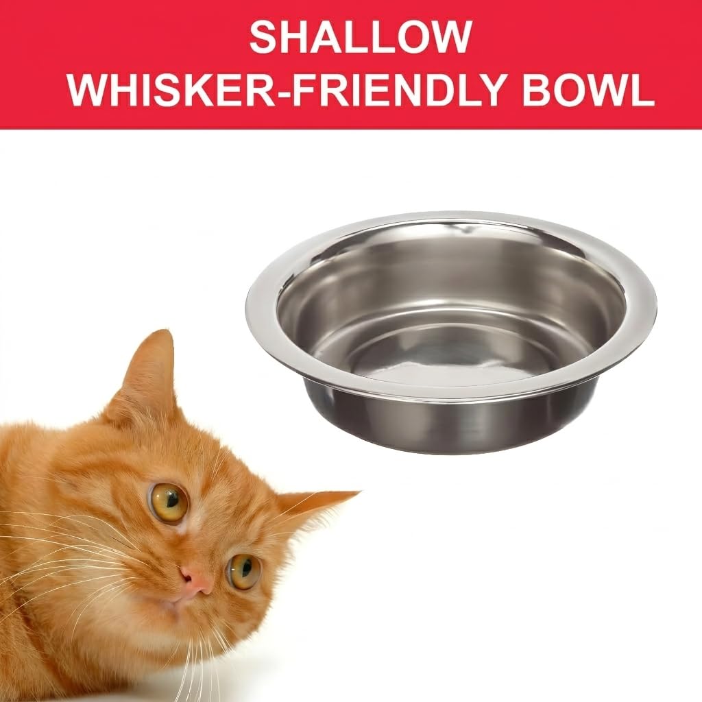 4 Pack Stainless Steel Cat & Dog Bowls, 8 oz Each H765931