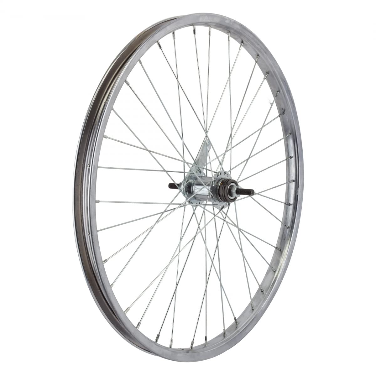 Rear Bicycle Wheel with Coaster Brake, 24 x 1.75, 36H, Steel, Silver M3997