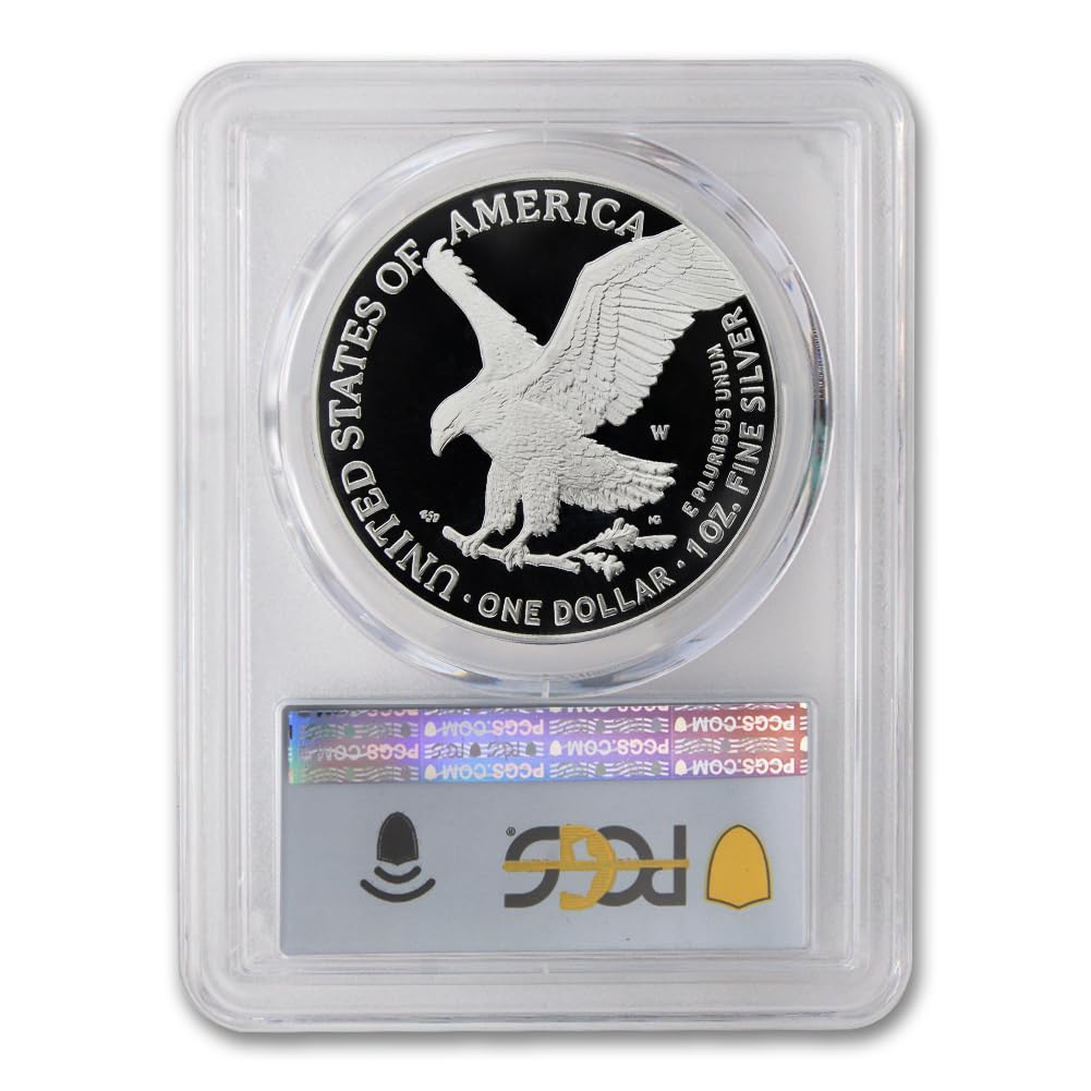 1 oz American Silver Eagle Coin V553236