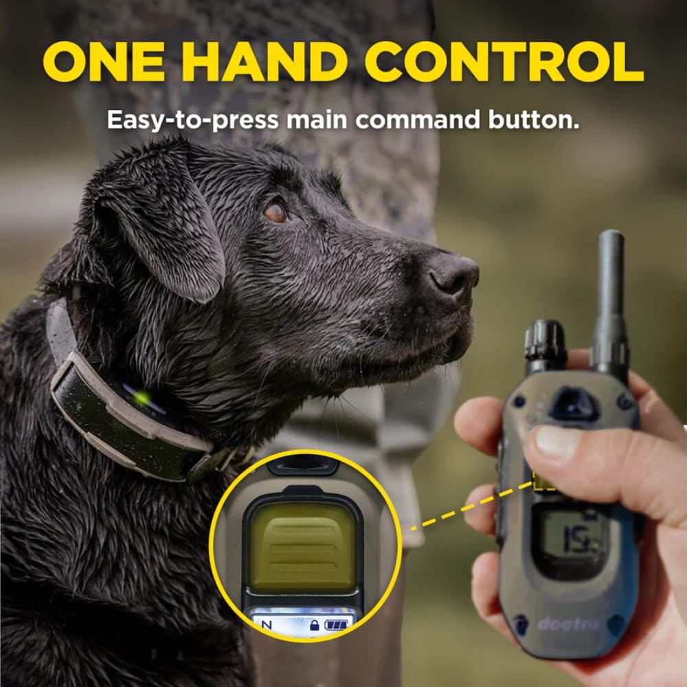 Waterproof Rechargeable Dog Training E-Collar C91185