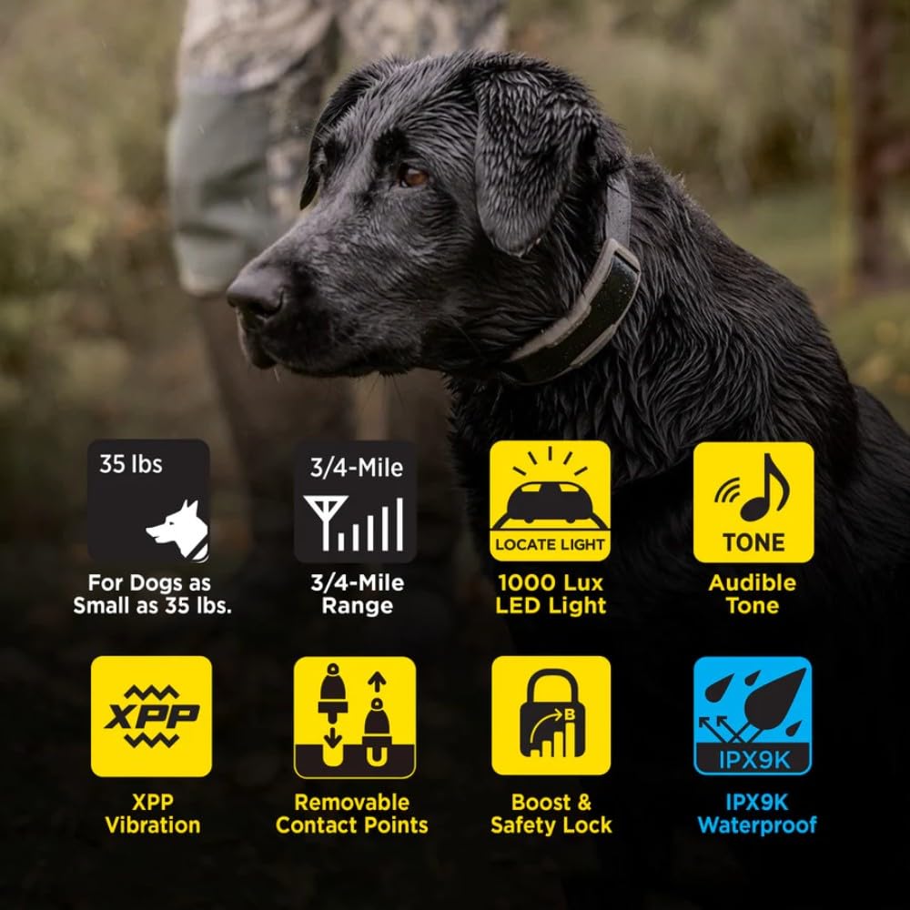 Waterproof Rechargeable Dog Training E-Collar C91185
