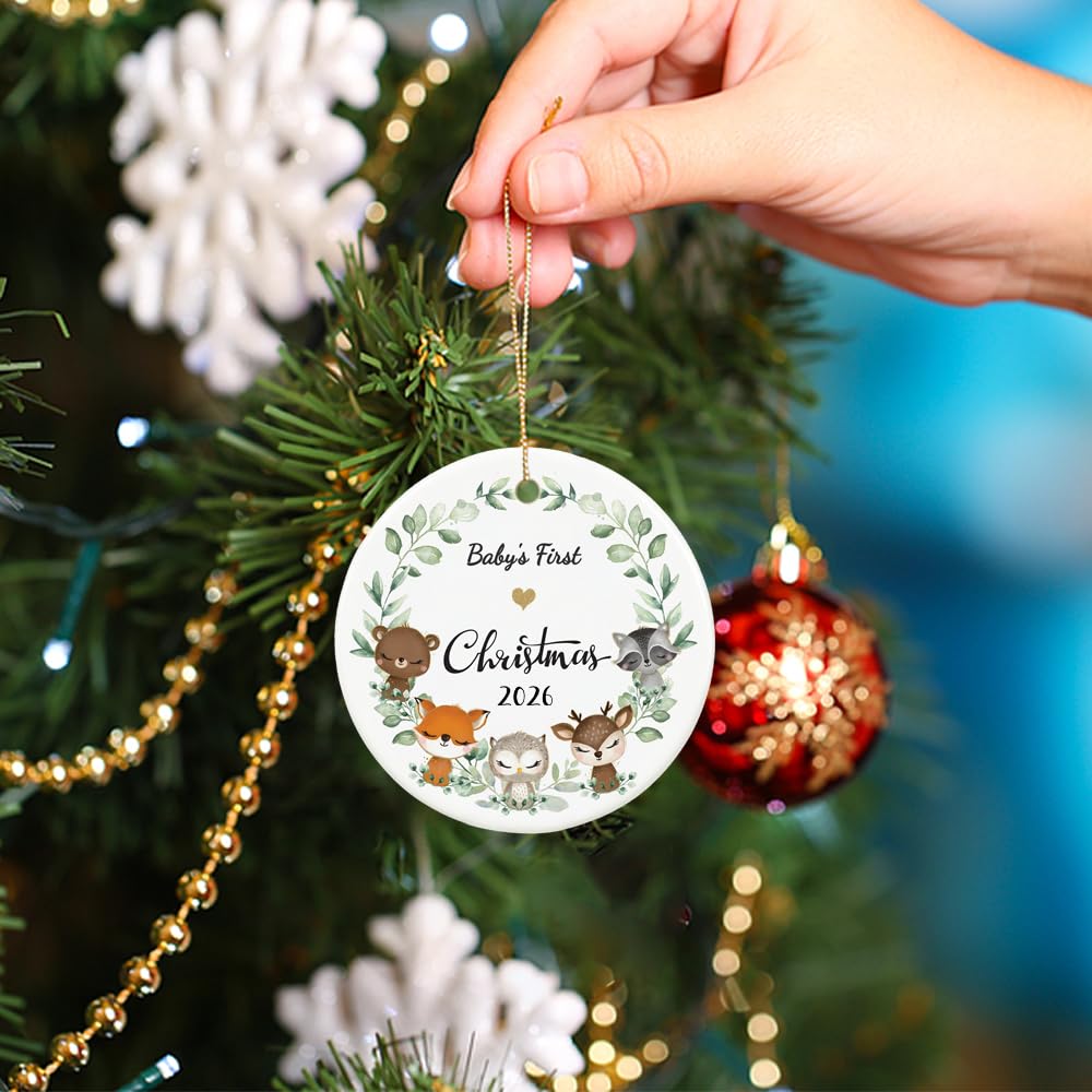 Christmas Ornament 2026 M48881