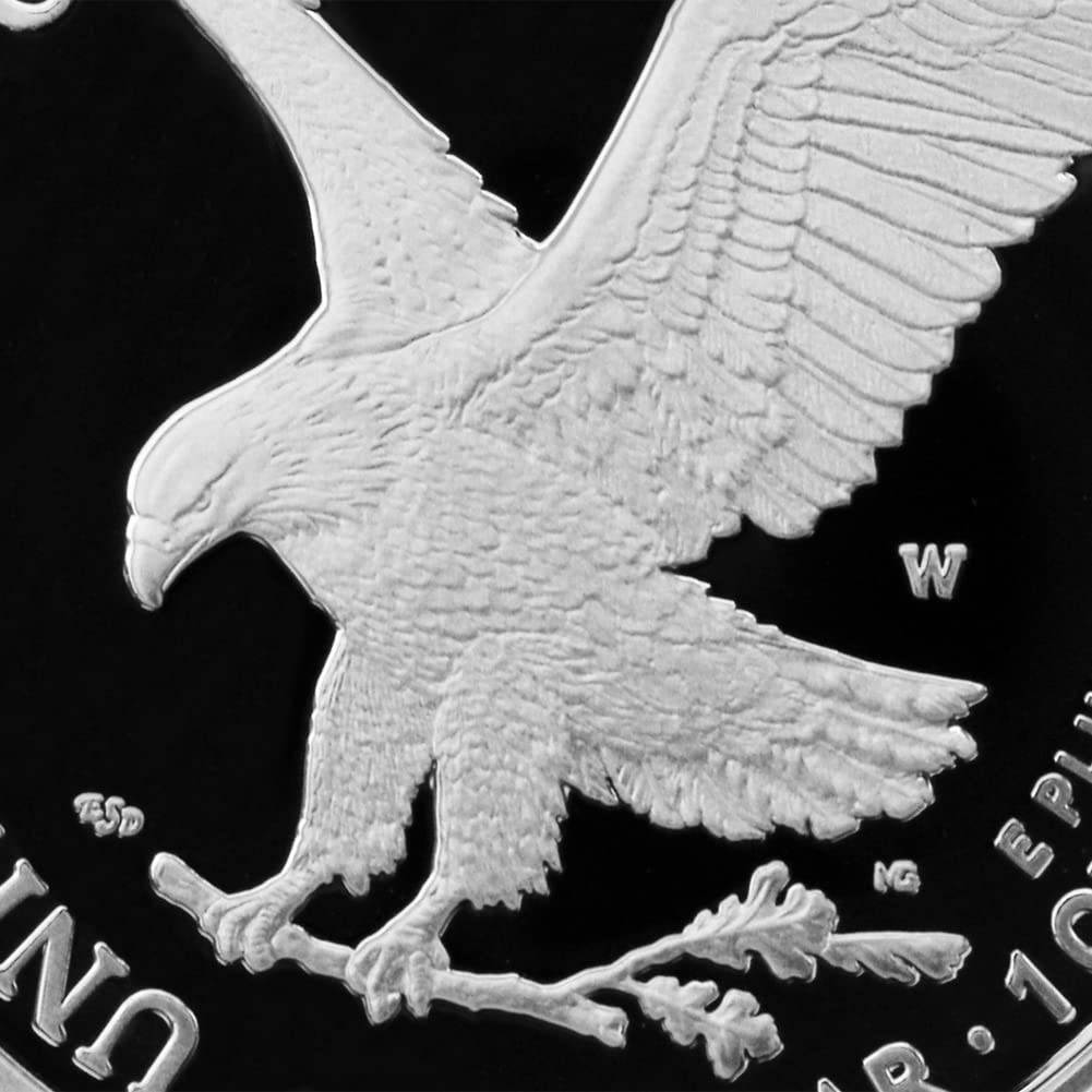 1 oz American Silver Eagle Coin V553236