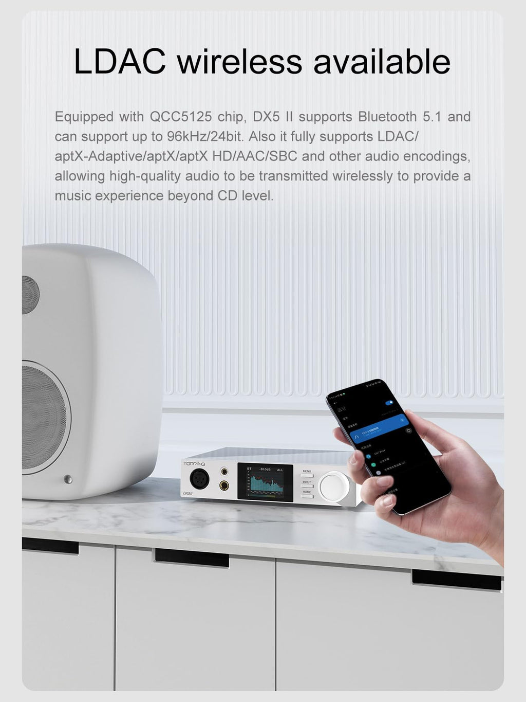 Black Hi-Res DAC & Headphone Amp Combo P556
