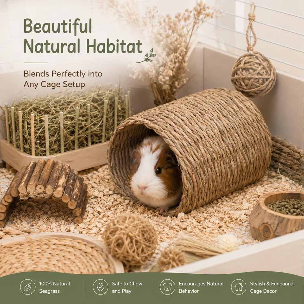 Natural Seagrass Bunny Tunnel X170706