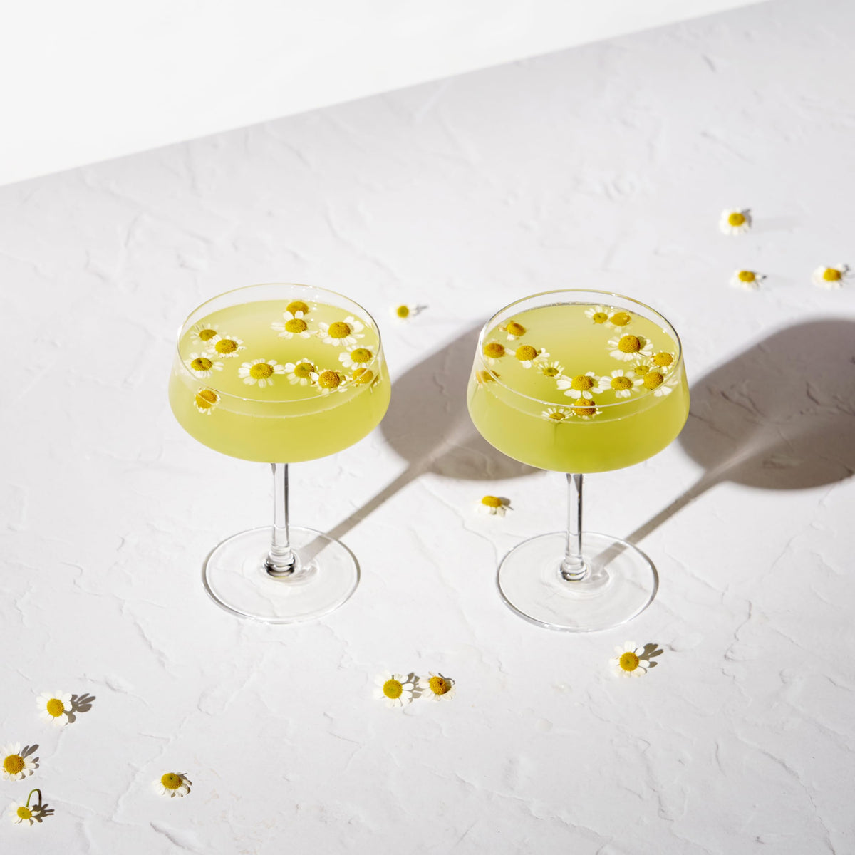 Crystal Coupe Cocktail Glasses Set of 4 G53051
