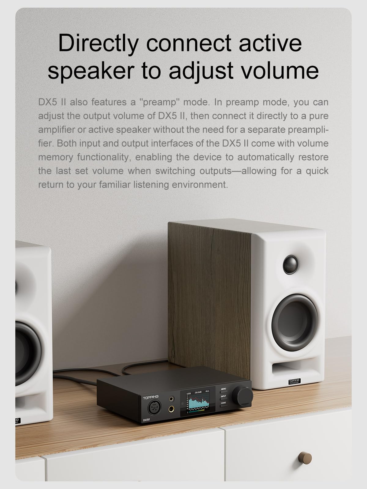 Black Hi-Res DAC & Headphone Amp Combo P556