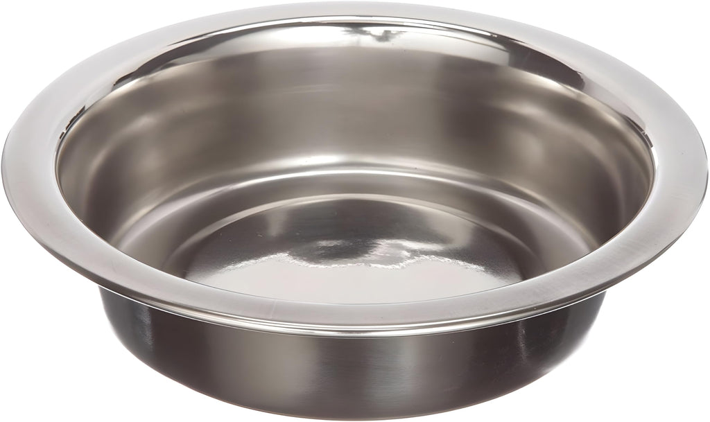 4 Pack Stainless Steel Cat & Dog Bowls, 8 oz Each H765931
