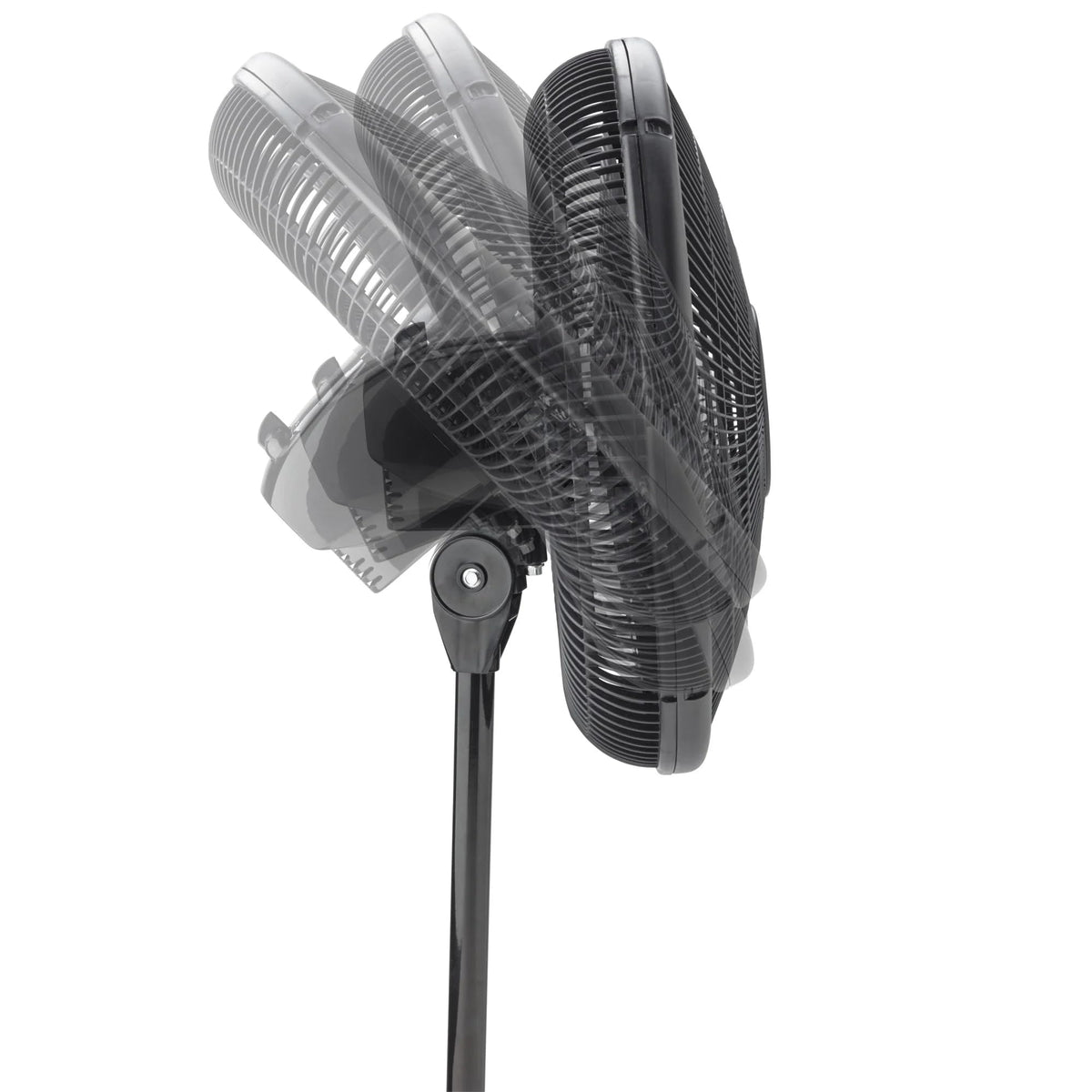 16" Oscillating Adjustable Pedestal Fan A308
