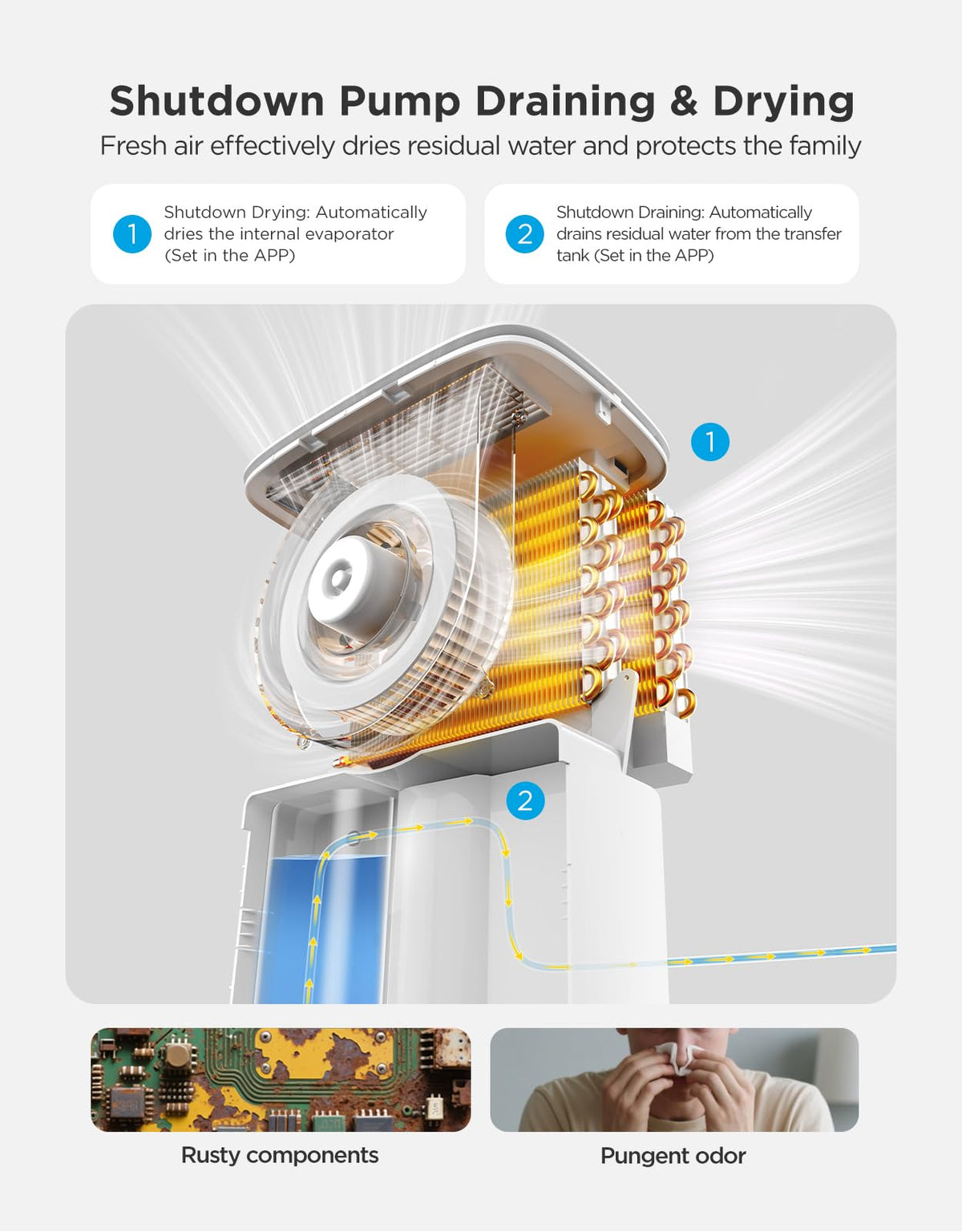 Dehumidifier with WiFi A5681
