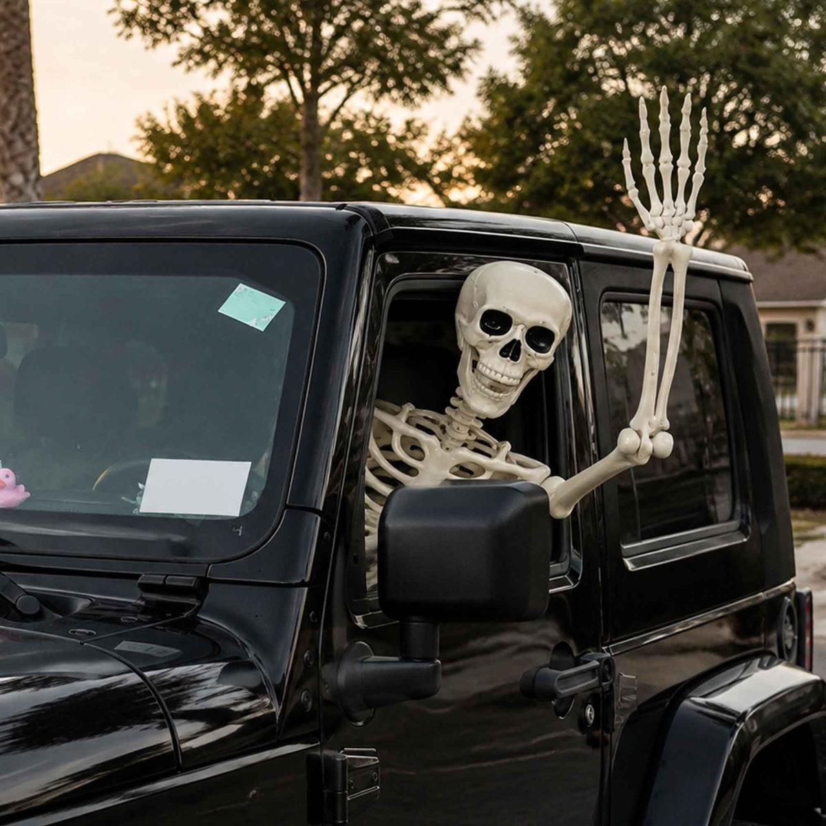 5.4ft Posable Life Size Skeleton with Movable Joints Y115