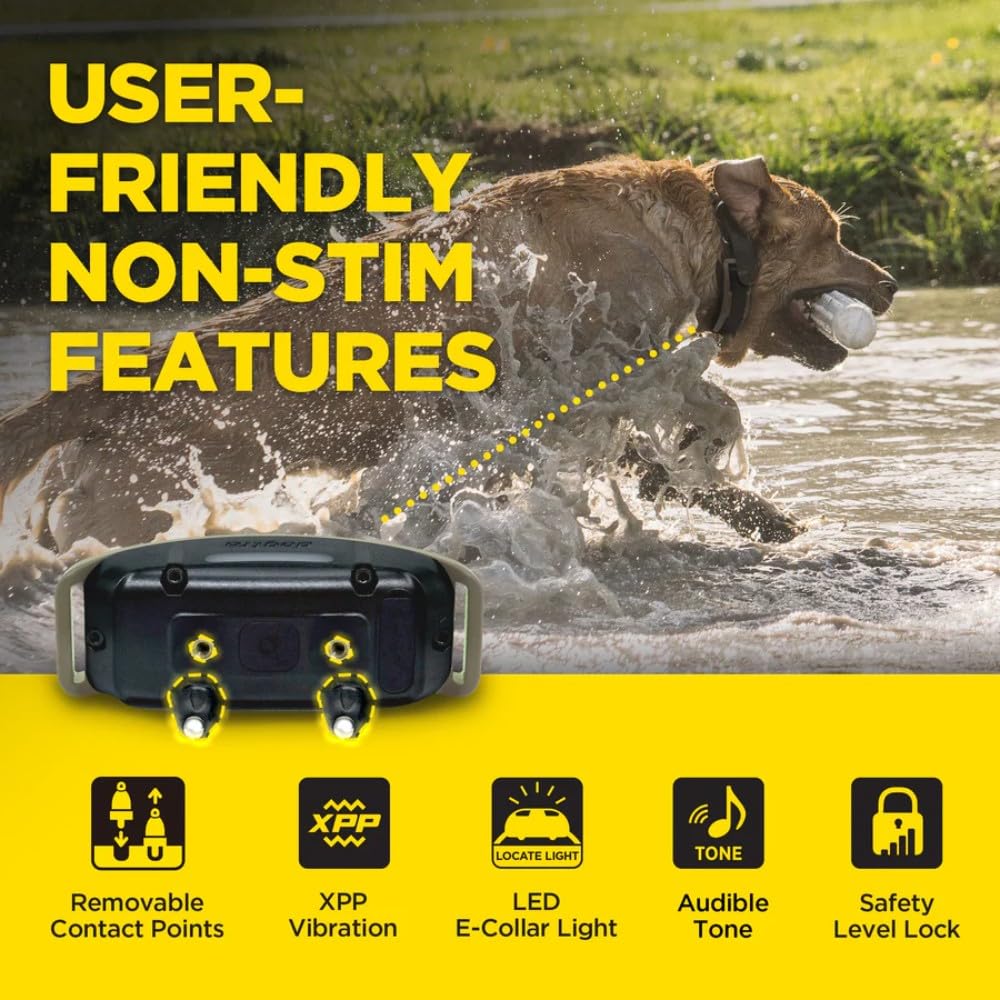 Waterproof Rechargeable Dog Training E-Collar C91185