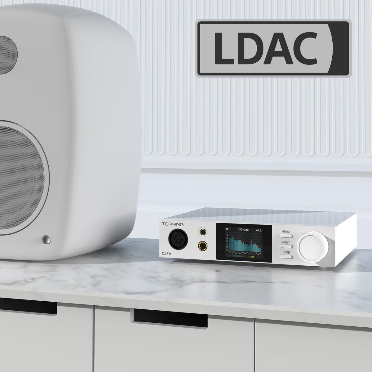 Black Hi-Res DAC & Headphone Amp Combo P556