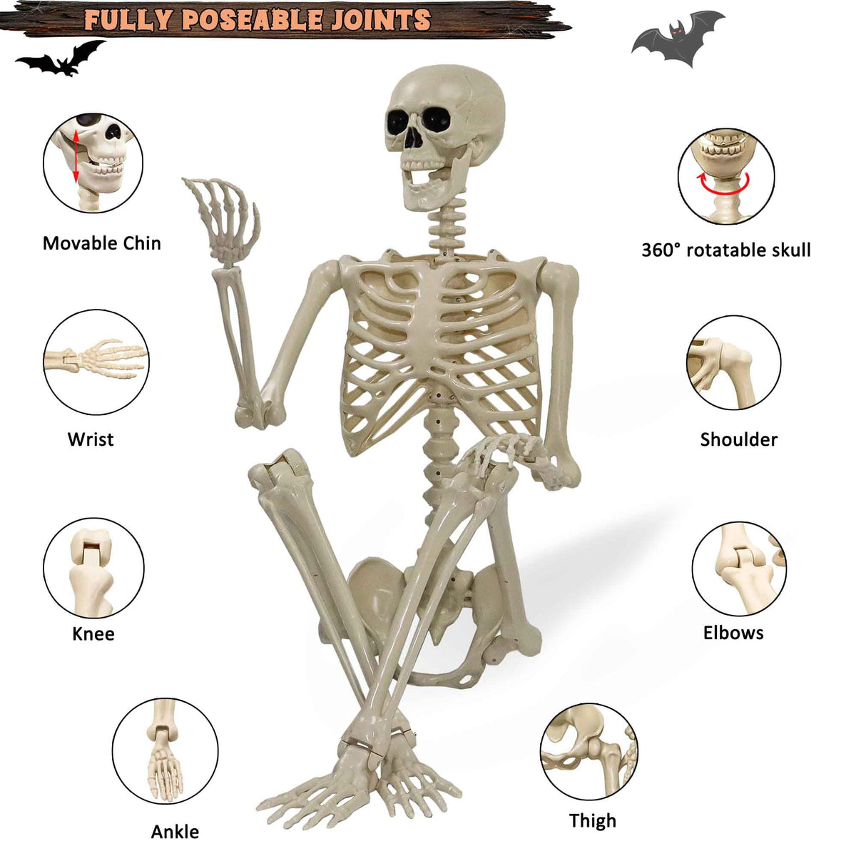 5.4ft Posable Life Size Skeleton with Movable Joints Y115