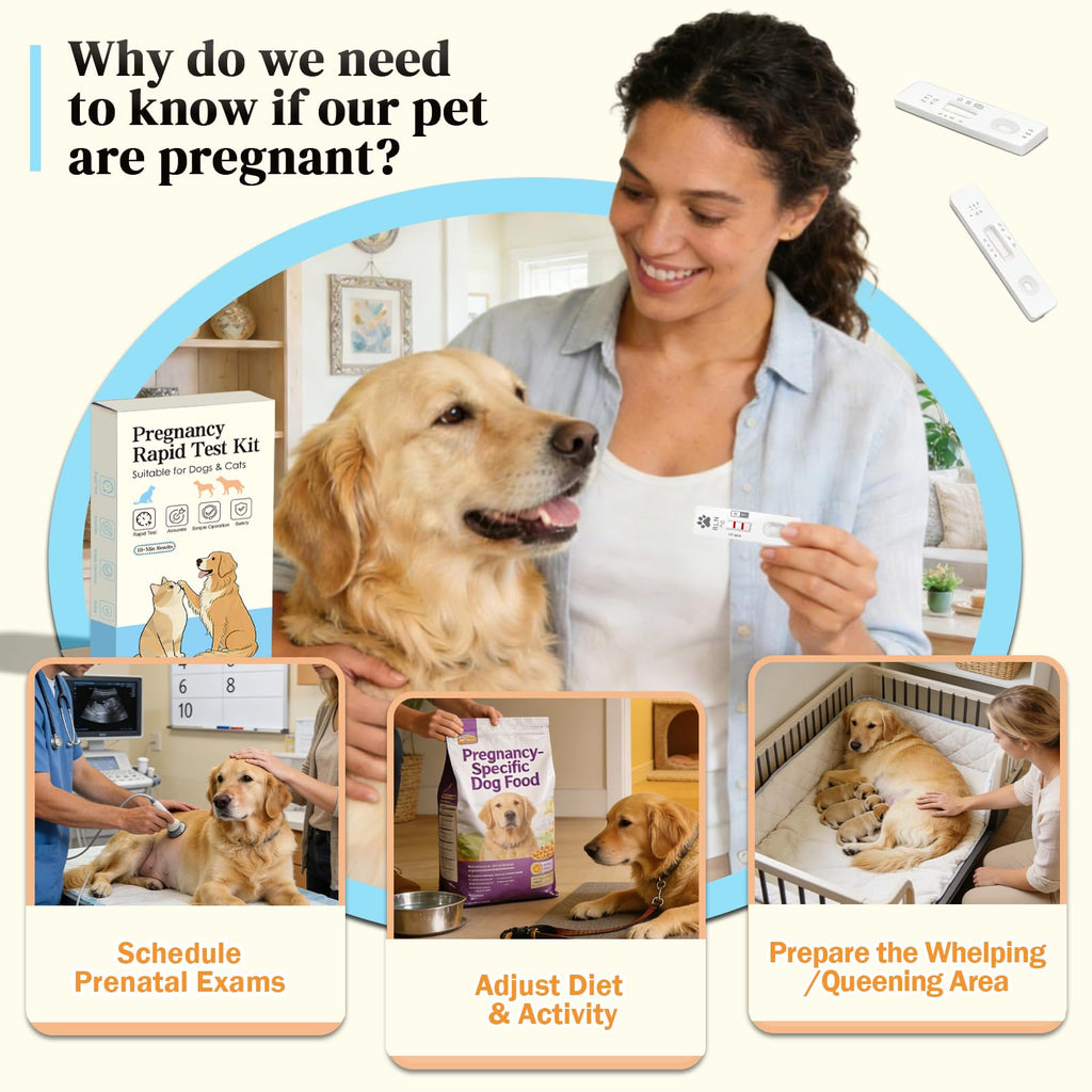 Dog & Cat Pregnancy Test Kit K222900
