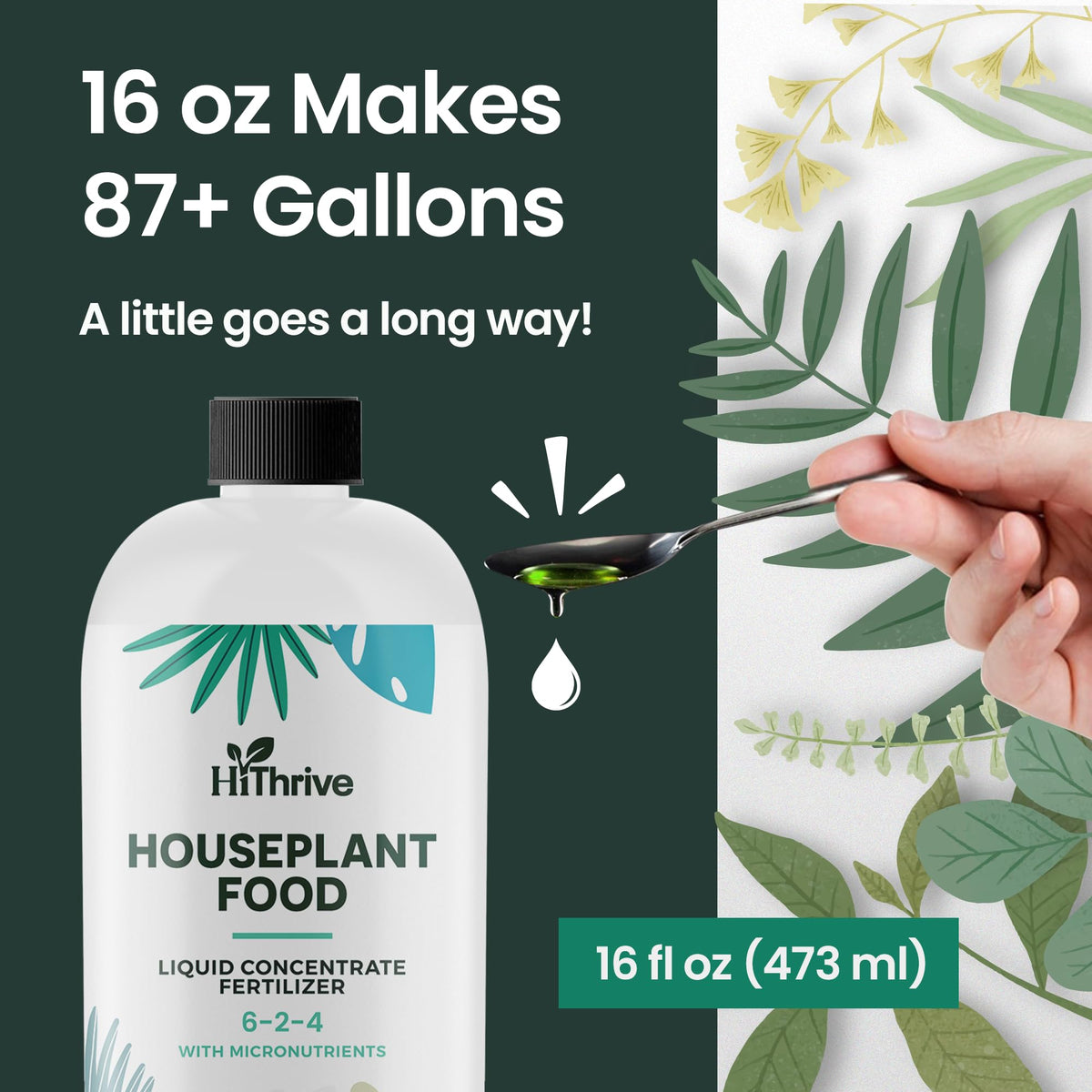 16oz All Purpose Concentrated Indoor Plant Fertilizer 6-2-4 NPK E138008