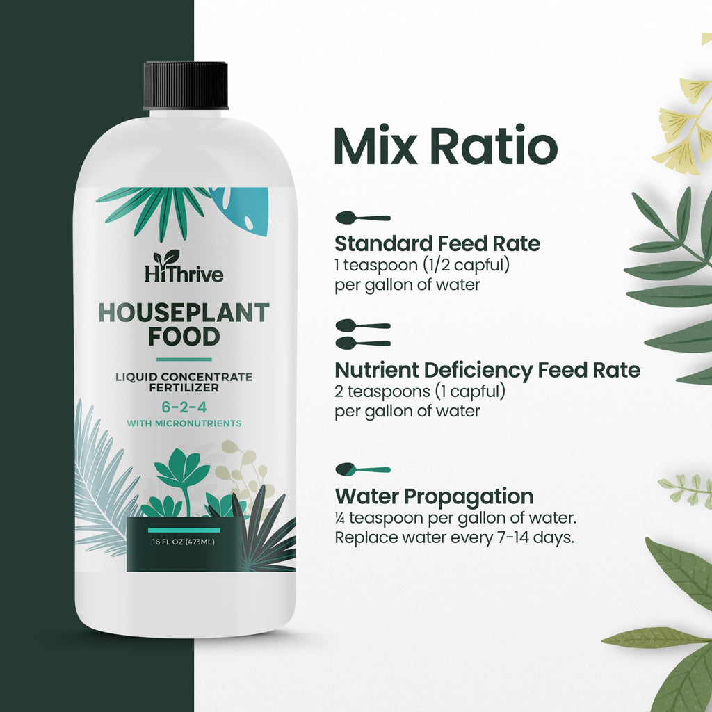 16oz All Purpose Concentrated Indoor Plant Fertilizer 6-2-4 NPK E138008