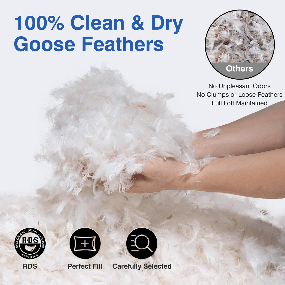 Queen Size Set of 2 Feather Pillows J233672