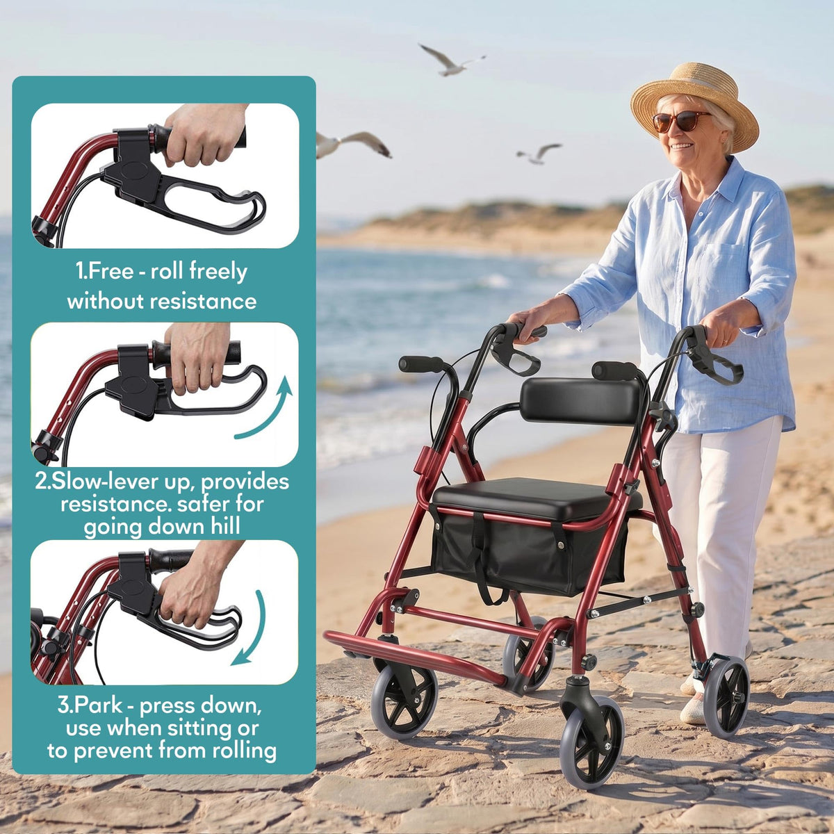 2-in-1 Rollator Walker with Seat F831540