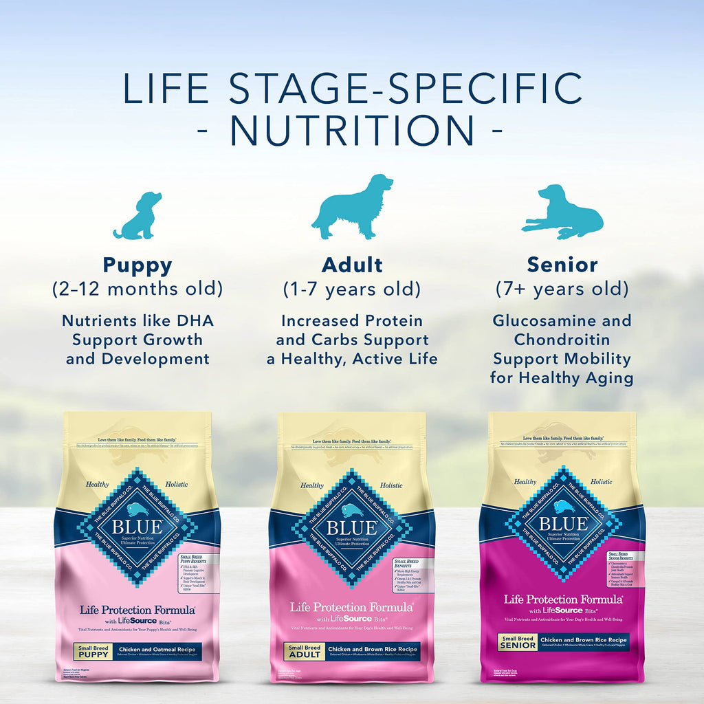 Natural Small Breed Healthy Weight Dry Dog Food Chicken and Brown Rice 6-lb R880281