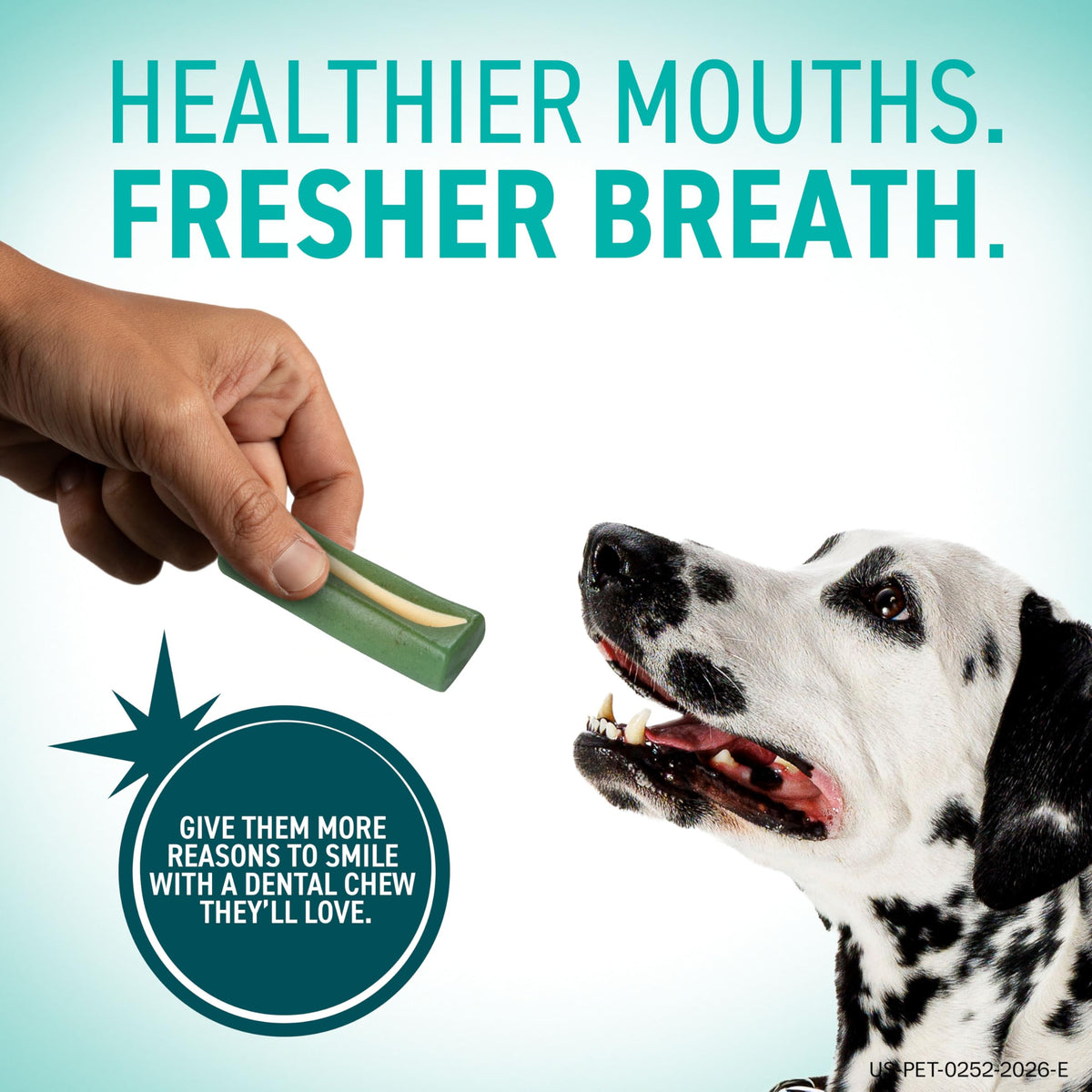 Dental Chews for Dogs 30 Count I6065