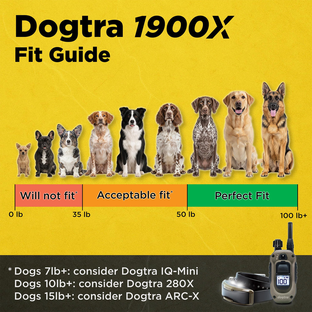 Waterproof Rechargeable Dog Training E-Collar C91185