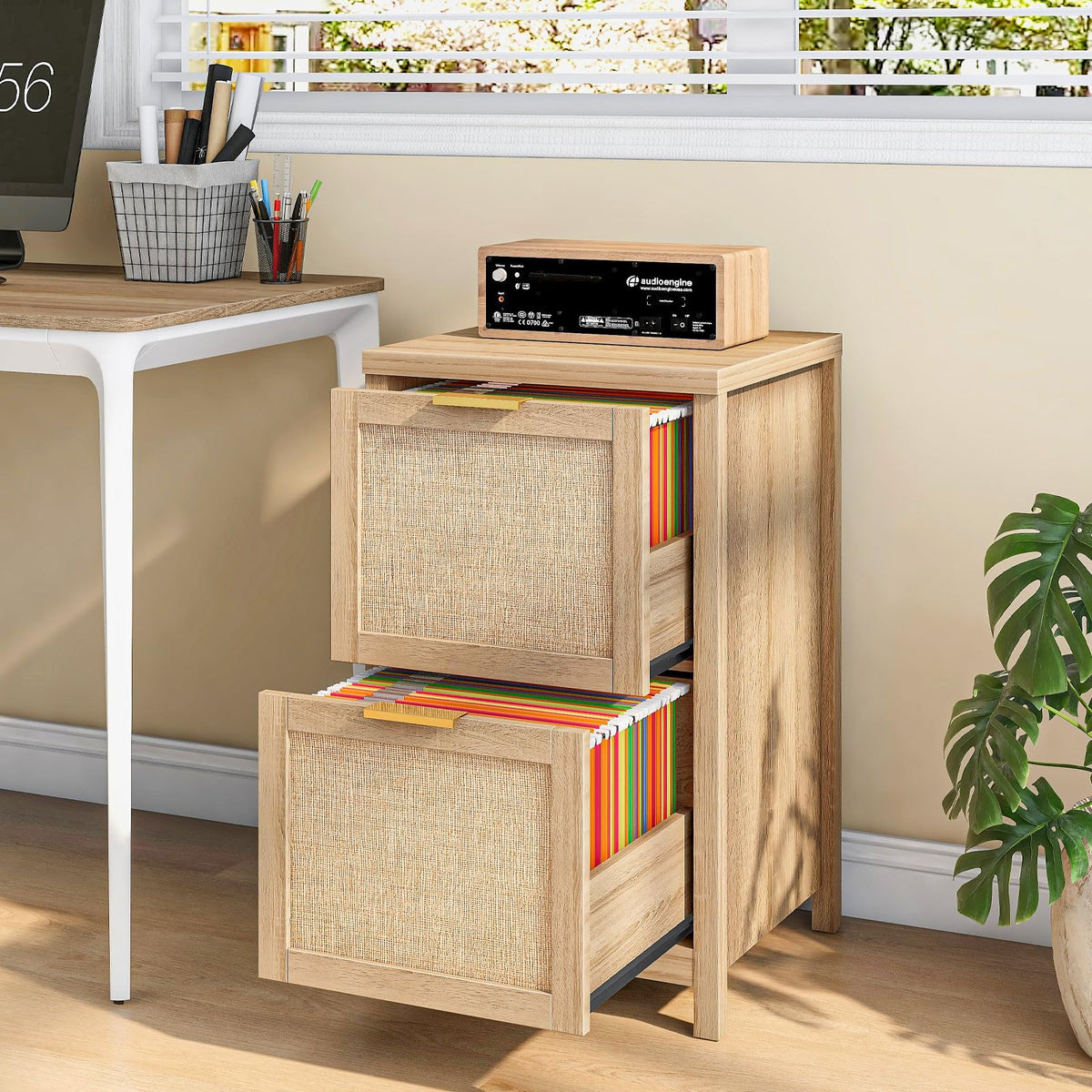 2-Drawer Rattan File Cabinet H49254