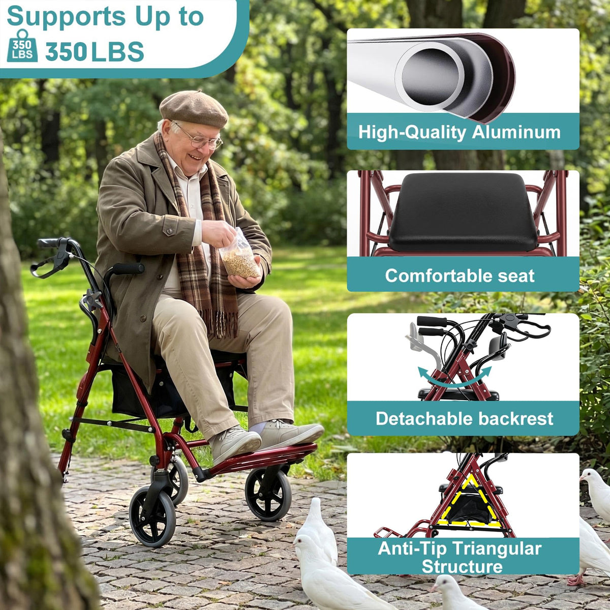 2-in-1 Rollator Walker with Seat F831540