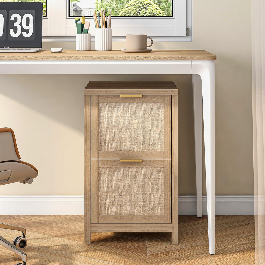 2-Drawer Rattan File Cabinet H49254