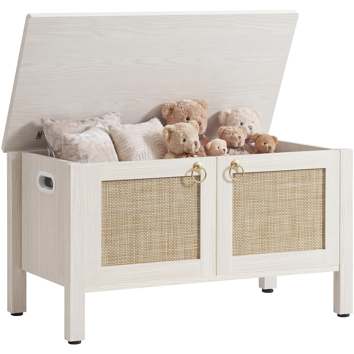 Rattan Storage Bench with 2 Safety Hinges N971428