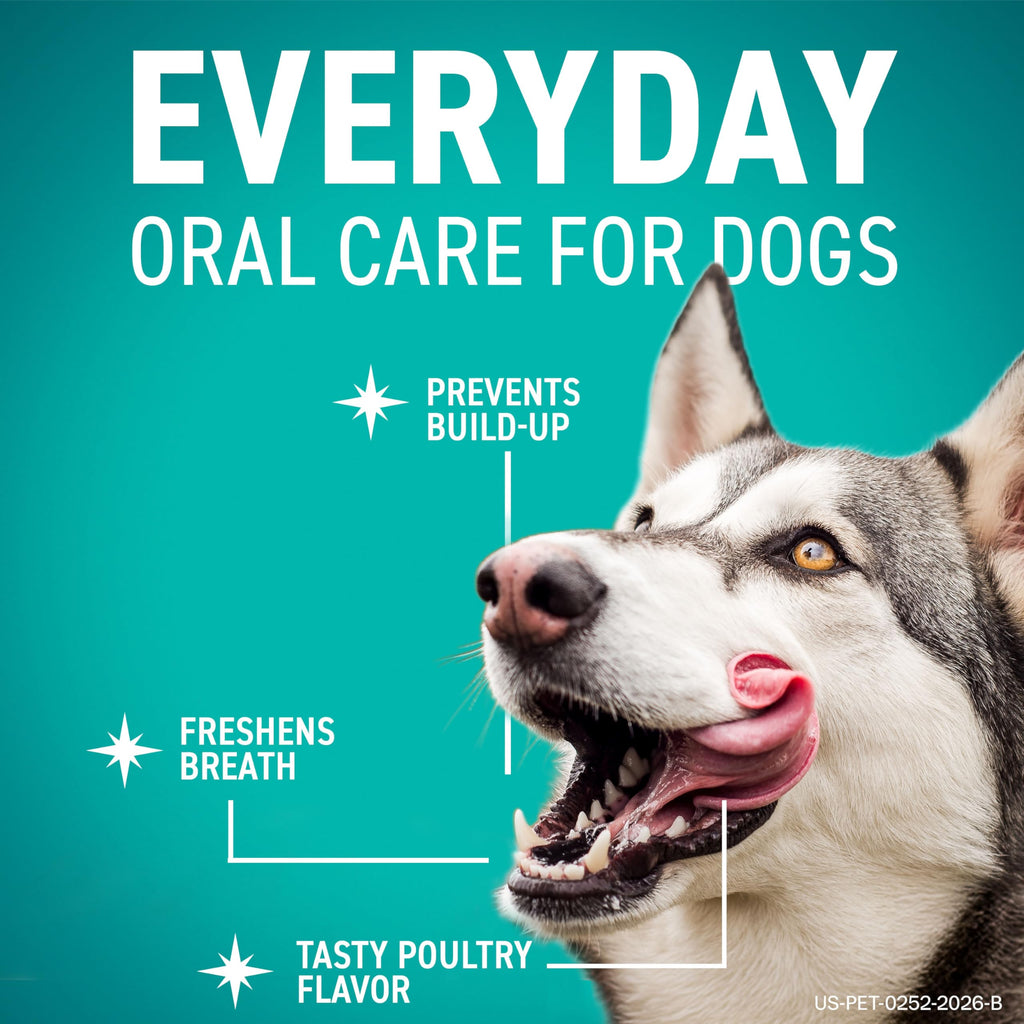 Dental Chews for Dogs 30 Count I6065