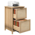 2-Drawer Rattan File Cabinet H49254