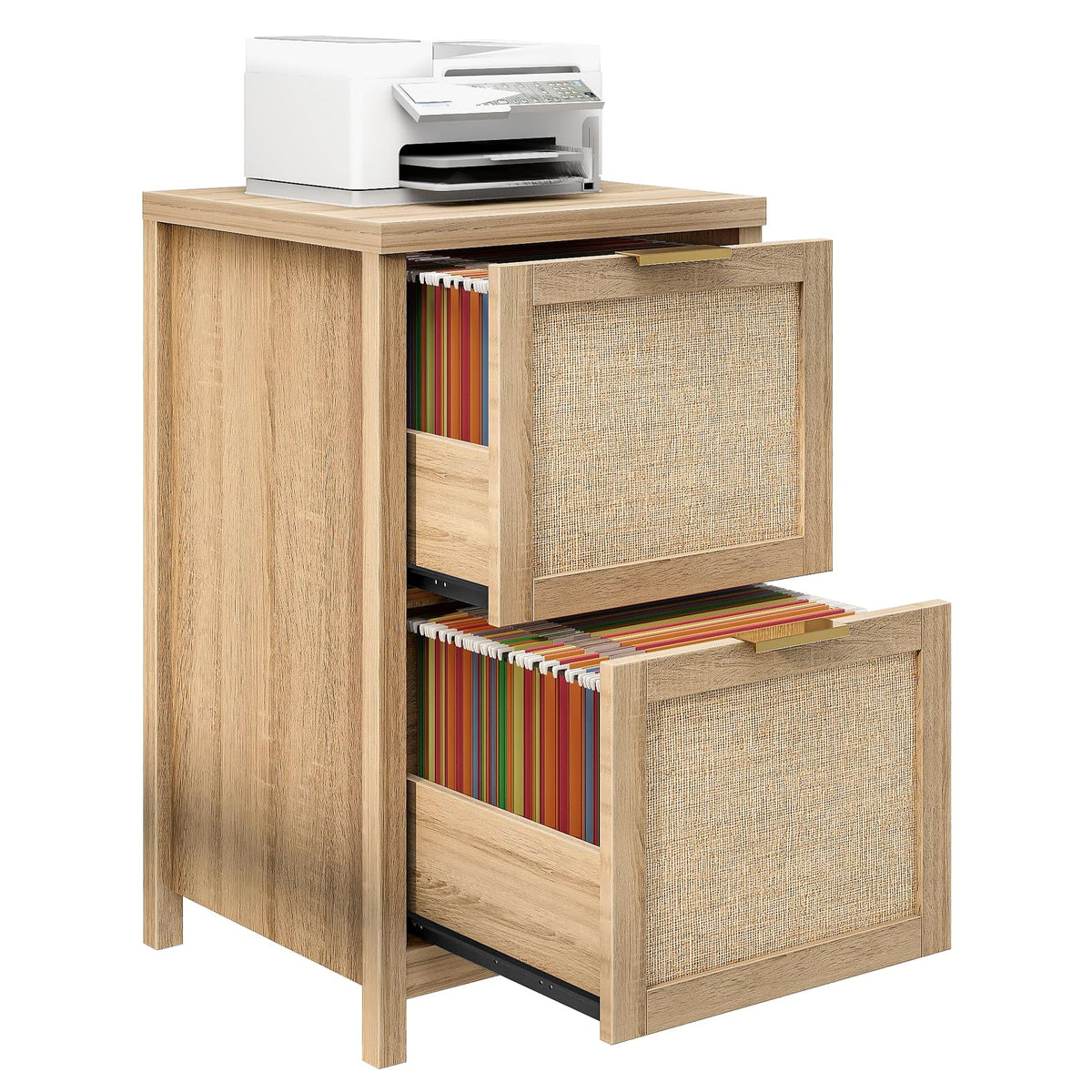 2-Drawer Rattan File Cabinet H49254