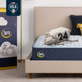 Medium 12" Full Hybrid Mattress A625