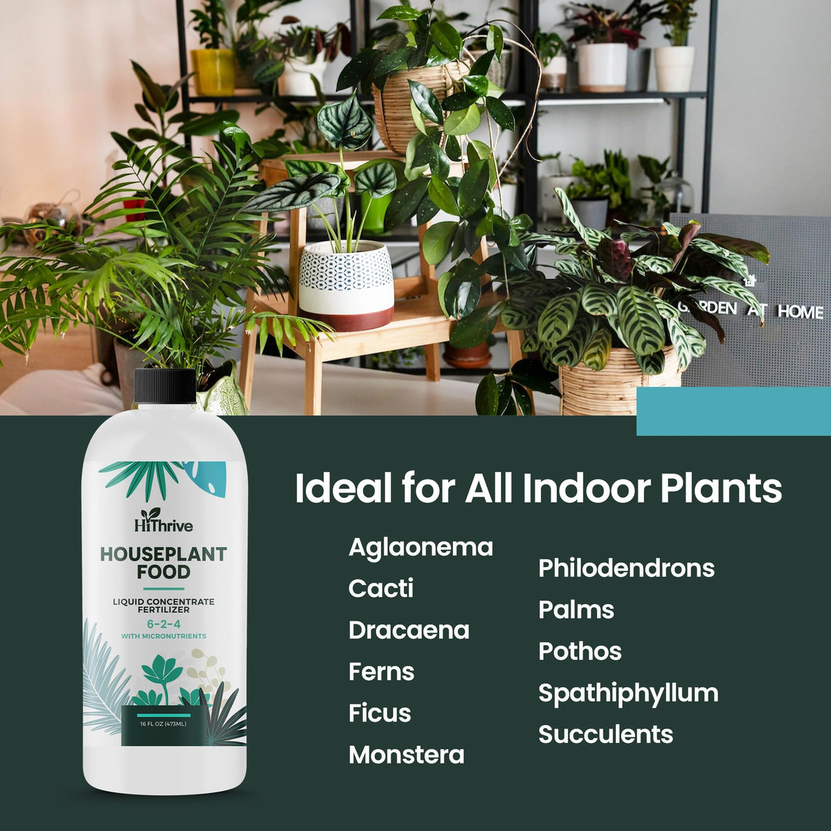 16oz All Purpose Concentrated Indoor Plant Fertilizer 6-2-4 NPK E138008