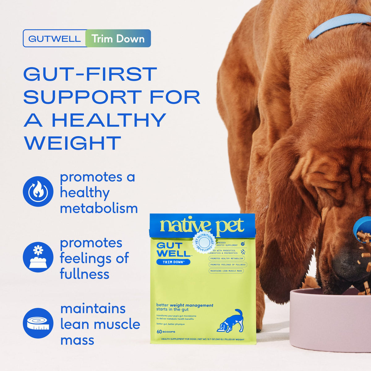 Weight Management Dog Food Topper & Supplement V2450