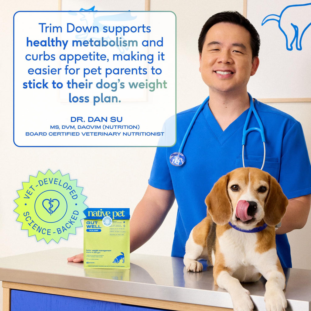 Weight Management Dog Food Topper & Supplement V2450