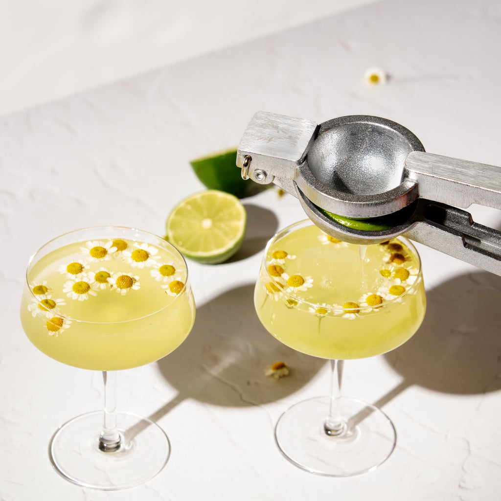 Crystal Coupe Cocktail Glasses Set of 4 G53051
