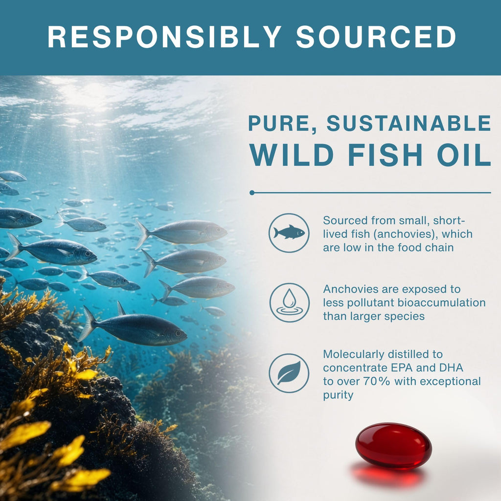 Wild Fish Oil 1360mg B217